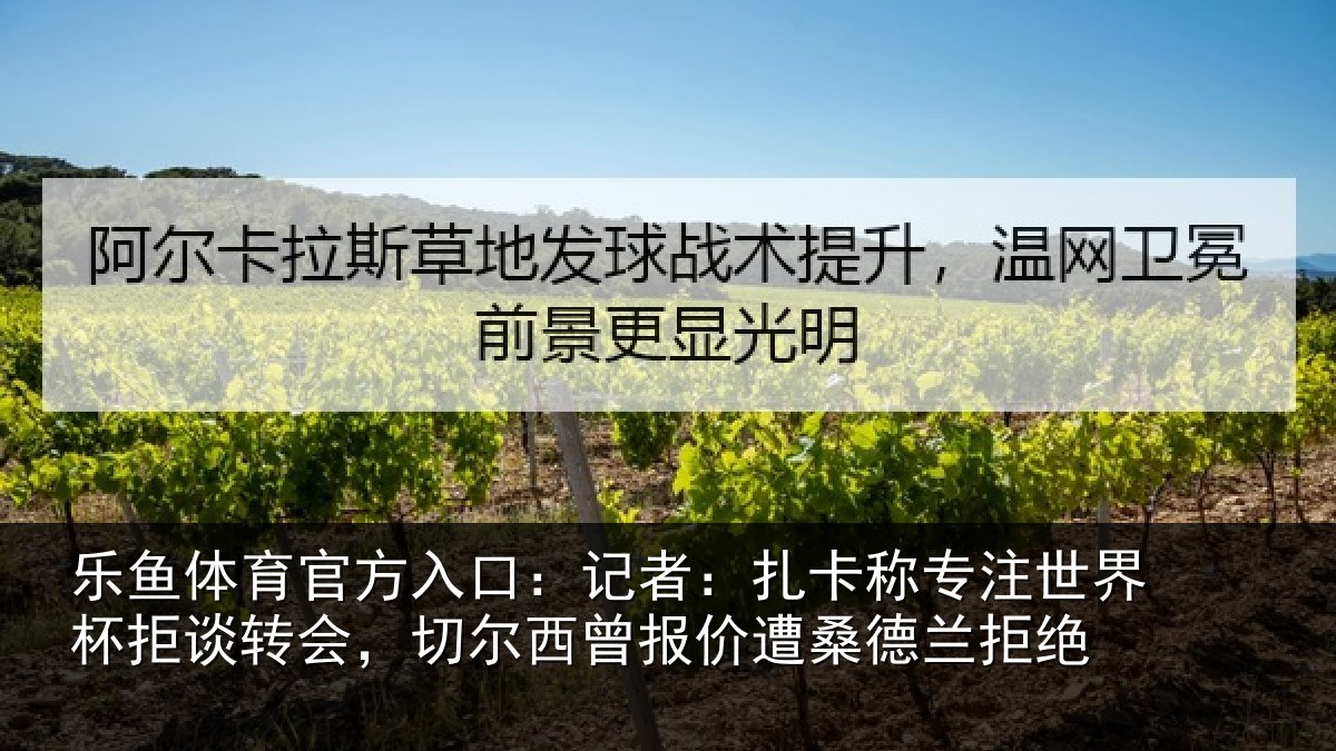 乐鱼体育官方入口：记者：扎卡称专注世界杯拒谈转会，切尔西曾报价遭桑德兰拒绝