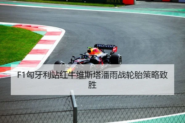 F1匈牙利站红牛维斯塔潘雨战轮胎策略致胜