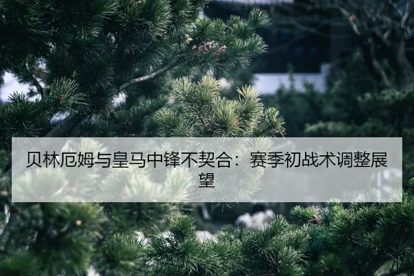 bei-lin-e-mu-yu-huang-ma-zhong-feng-bu-qi-he-sai-ji-chu-zhan-shu-tiao-zheng-zhan-wang-2-415.jpg