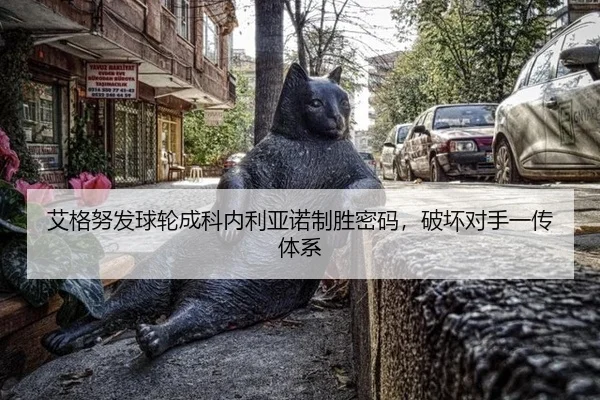 ai-ge-nu-fa-qiu-lun-cheng-ke-nei-li-ya-nuo-zhi-sheng-mi-ma-po-huai-dui-shou-yi-chuan-ti-xi-2-593.jpg