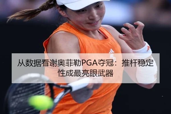 cong-shu-ju-kan-xie-ao-fei-lei-duo-guan-tui-gan-wen-ding-xing-cheng-zui-liang-yan-wu-qi-3-282.jpg
